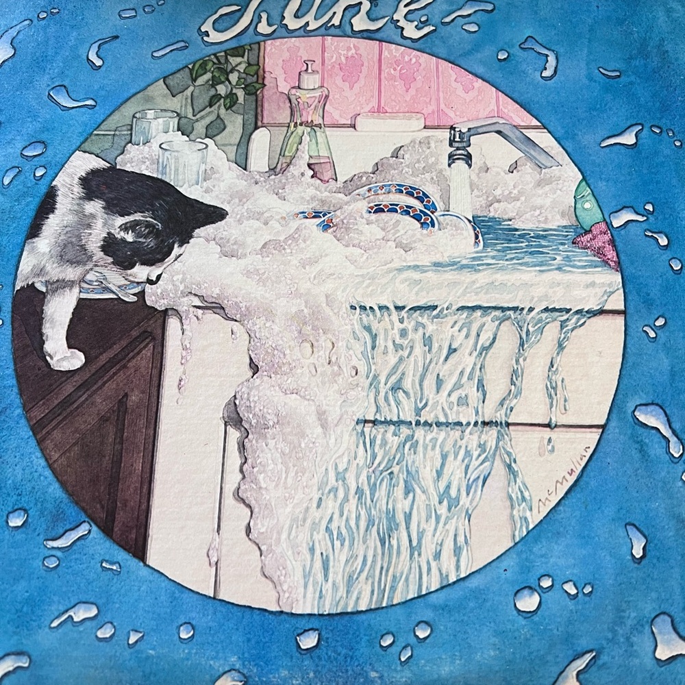 Lake Vinyl Record